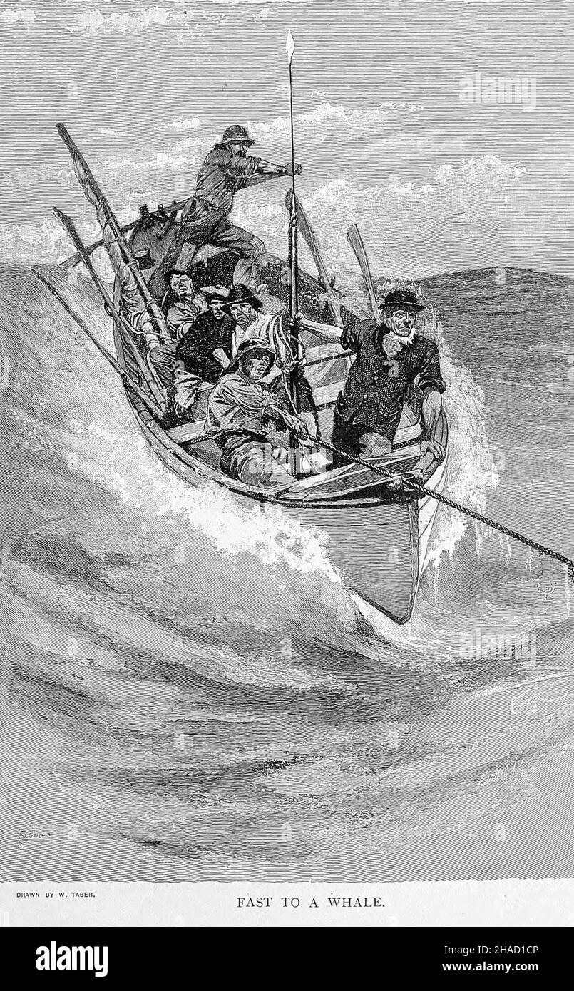 Rápido a una ballena De ' el libro del océano ' por Ernest Ingersoll, fecha de publicación 1898 Editorial: Nueva York, el siglo co. Los temas incluyen el océano y su origen.-- olas, mareas, y corrientes.--La construcción y aparejos de barcos.--Viajes tempranos y exploración.-- Los secretos ganaron del Norte congelado.--Guerras navales y batallas navales.--Los mercaderes del mar.--Los ladrones de los mares.--Yachting y el placer-paseos en bote.--Los peligros de las profundidades.-- Pesca y otras industrias marinas.--Las plantas del mar y sus usos.--Vida animal en el mar Foto de stock