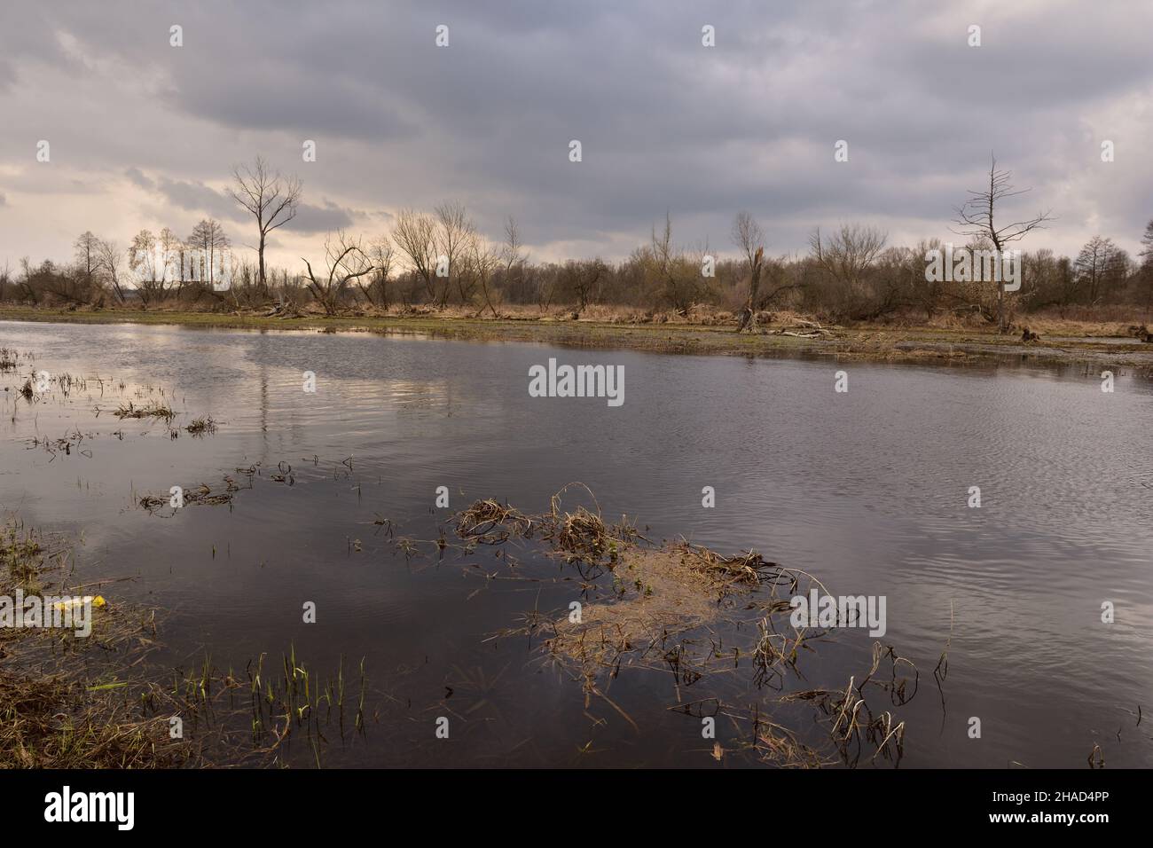 Las altas aguas del río inundan prados y tierras residuales agrícolas en un día nublado de primavera. Día. Foto de stock