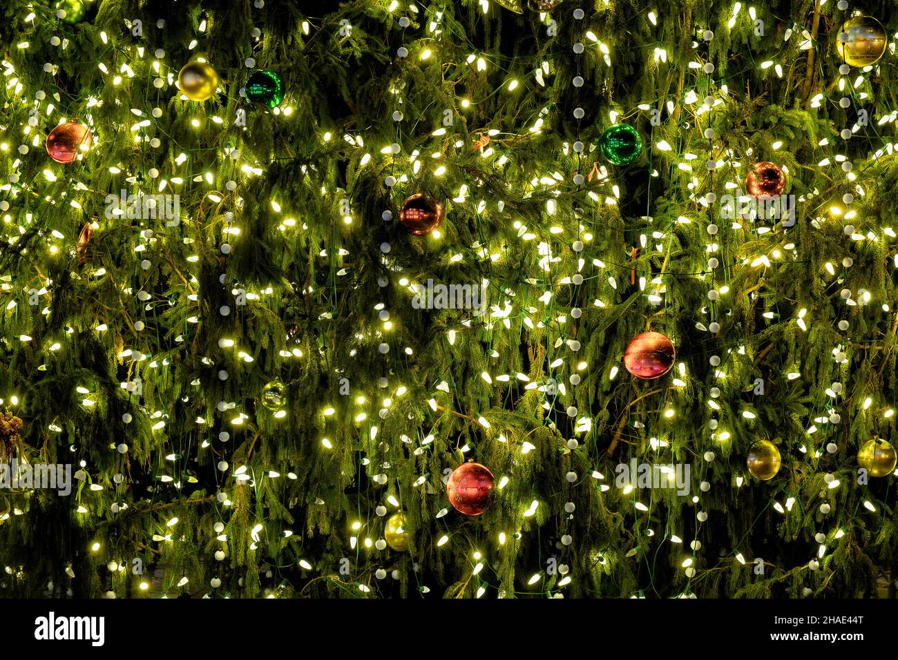 Un árbol de Navidad decorado e iluminado, genial como fondo para diseños Foto de stock