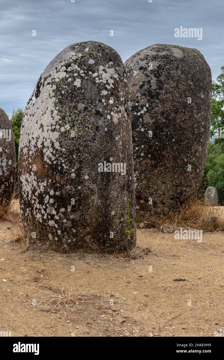 Cromlech dos Almendres, complejo megalítico y neolítico, Evora, Alentejo, Portugal. Foto de stock
