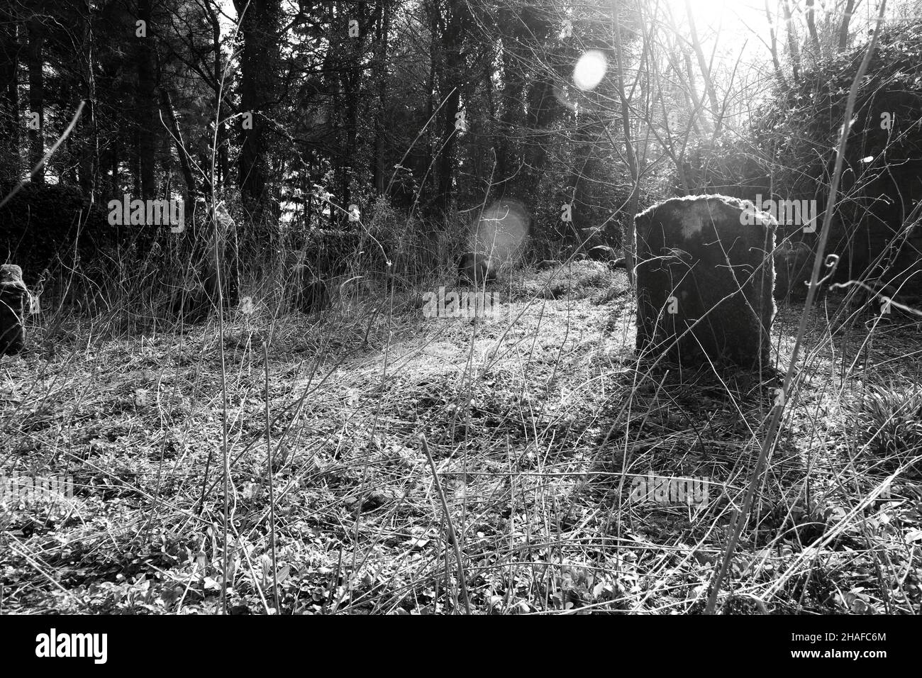 una tumba en el resplandor de la luz de la noche en blanco y negro Foto de stock