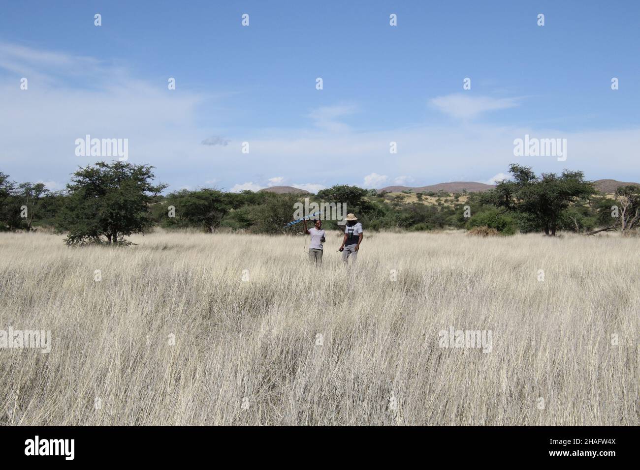 Kalahari, Sudáfrica. 05th de Dic de 2021. Los científicos Keafon Jumbam (l)  y Olufemi Olubodun buscan una señal para los perros silvestres africanos  geoetiquetados que son monitoreados como parte de un estudio