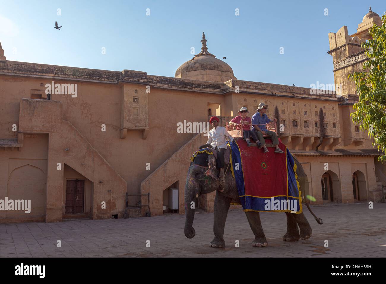 fuerte ámbar y elefantes en Jaipur, India Foto de stock