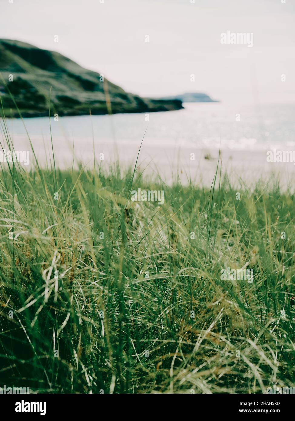 Un mínimo escocés Marram hierba dunas de arena, playa y mar paisaje de verano en la isla de Mull, Inner Hebrides, Escocia Reino Unido - fondo de la costa de verano Foto de stock