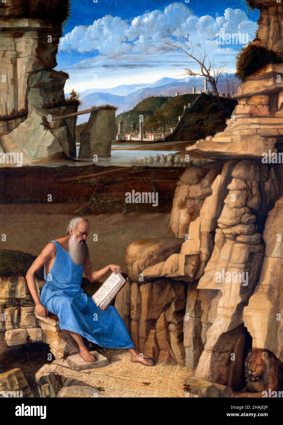 San Jerónimo Lectura en un paisaje por Giovanni Bellini (c.1435-1516), aceite sobre panel, c. 1480-85 Foto de stock