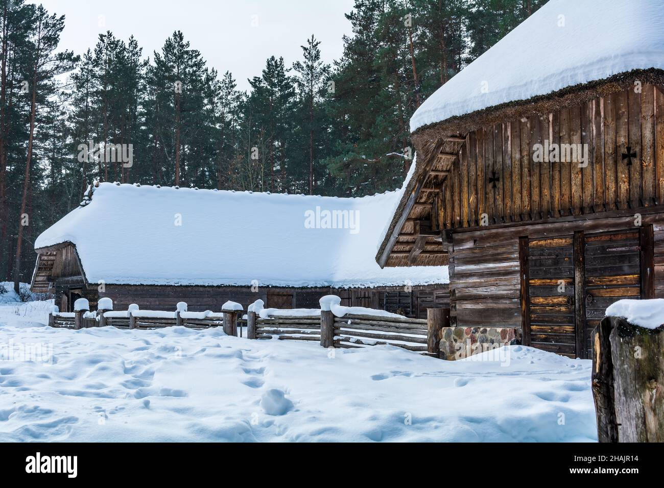 El patio de ganado en forma de herradura de Kurzeme Peasant bajo la nieve. El lugar de origen del ganado es Rucava, Letonia Foto de stock