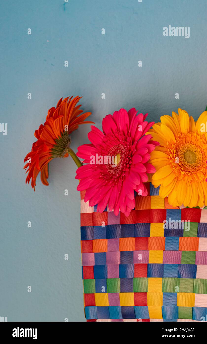 Tres flores de gerbera en fotografías e imágenes de alta resolución - Alamy Tres flores de gerbera en fotografías e imágenes de alta resolución - Alamy