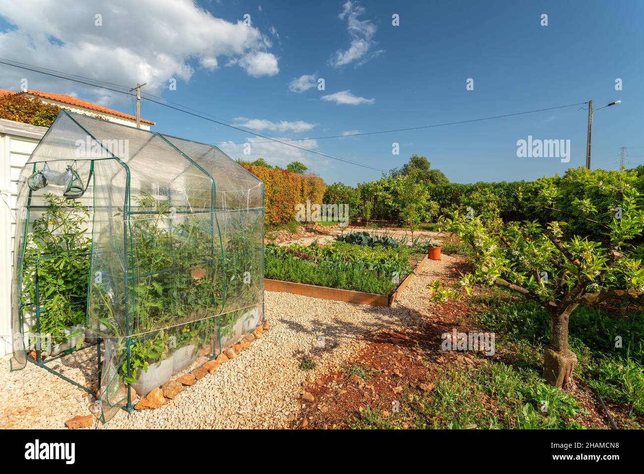 Mini-invernadero hecho de plástico en el jardín, para el cultivo de plántulas de verduras en casa, a principios de la primavera instalado en el jardín. Sólo para uso personal. Foto de stock