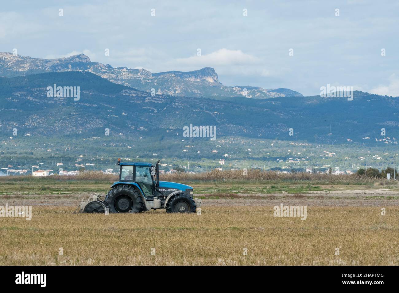 Labranza de tractores, arrozales, Delta del Ebro, Cataluña, España Foto de stock