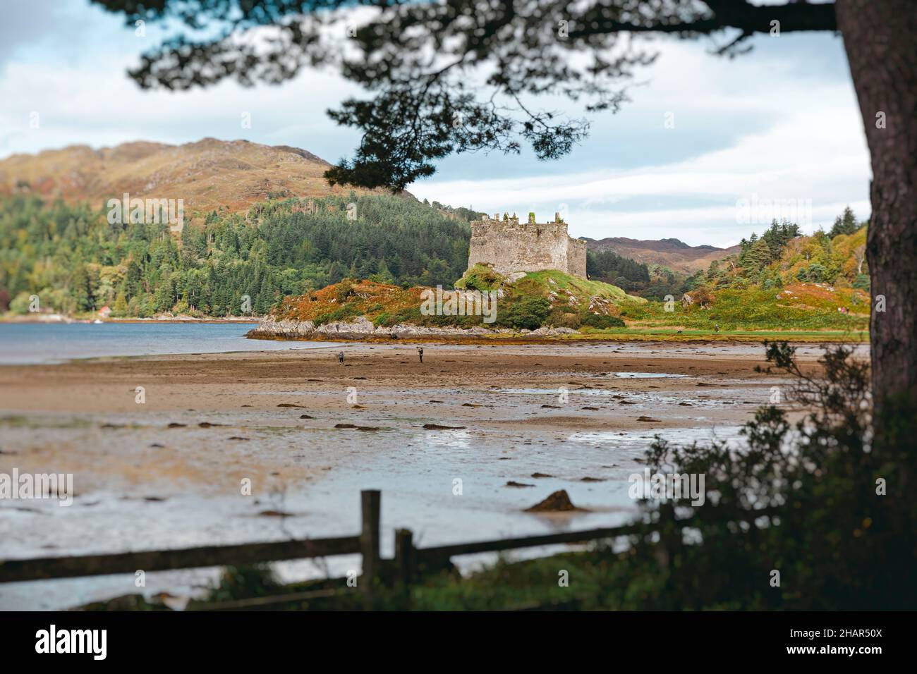 El castillo Tioram del siglo 13th en la isla de marea de Eilean Tioram en el lago Moidart cerca de Acharacle en la península de Arnamurchan, Escocia occidental Foto de stock