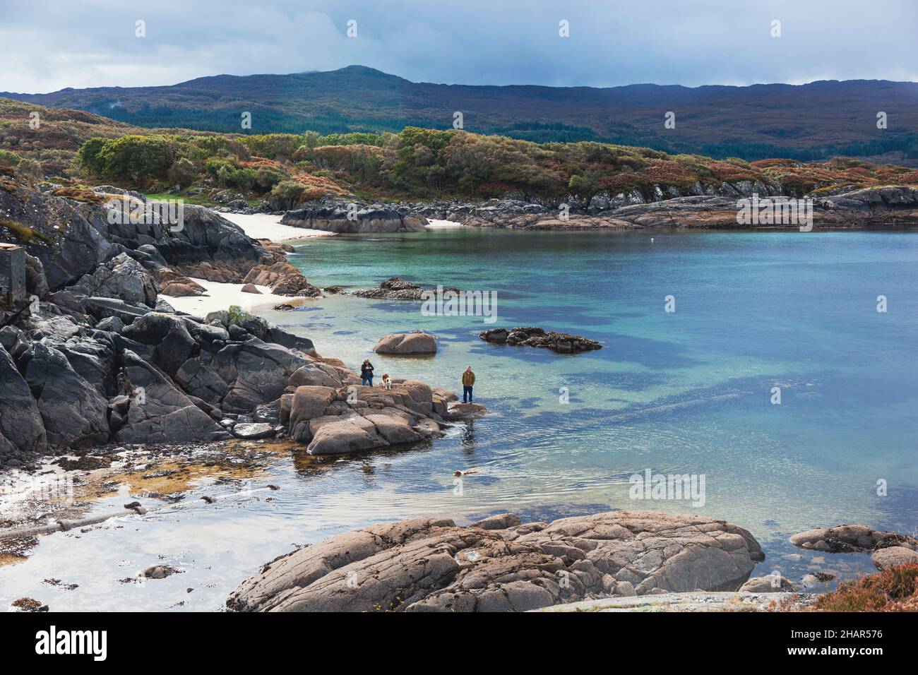 Visitantes y sus perros disfrutando de las playas de arena blanca y el agua de mar en Ardtoe en la península de Ardnamurchan en la costa oeste de Escocia Foto de stock