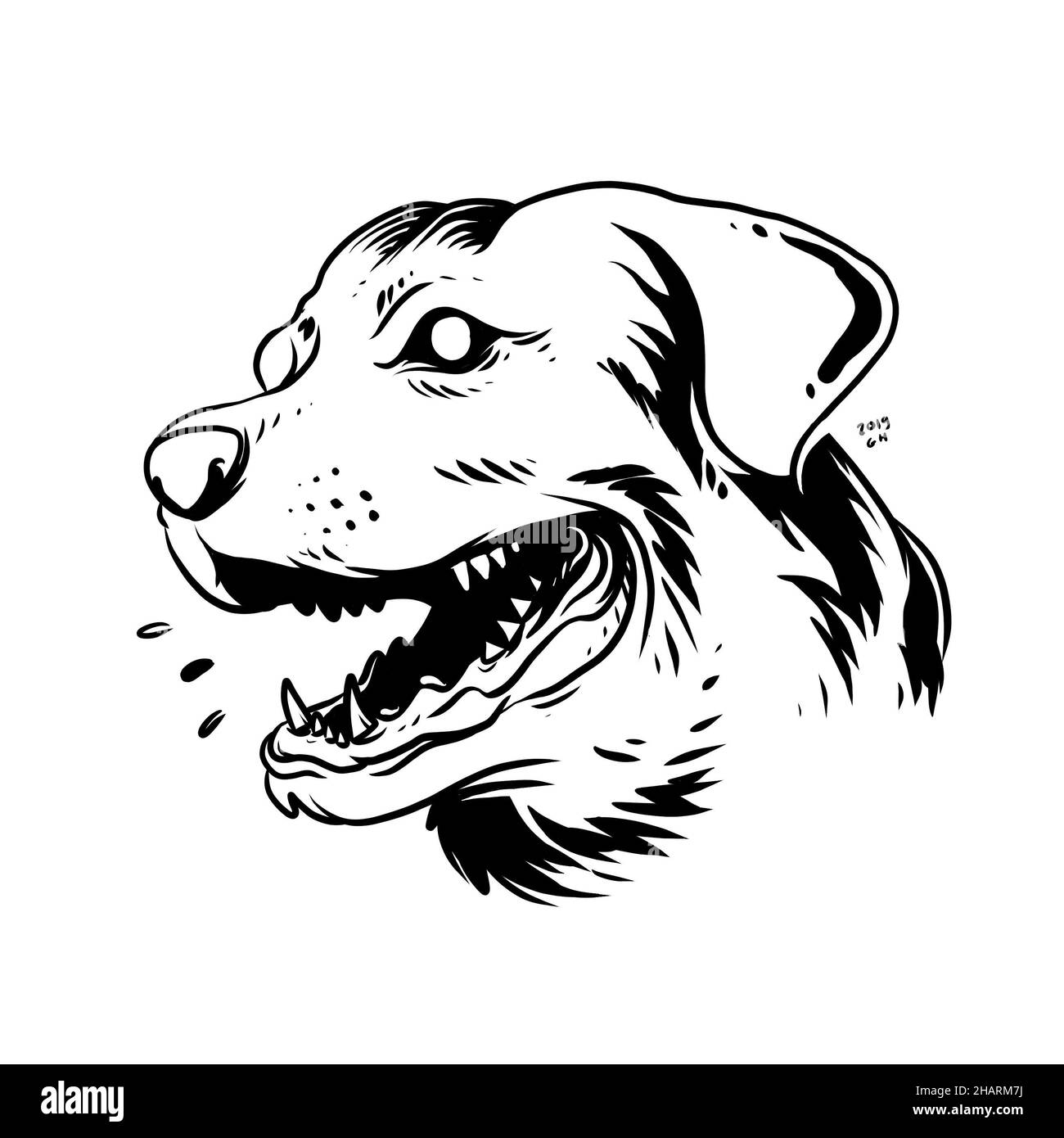 una cara de perro ladrando. una ilustración dibujada a mano de una cabeza de animal salvaje. dibujo de líneas para el emblema, el cartel, la pegatina, el tatuaje, etc. Foto de stock