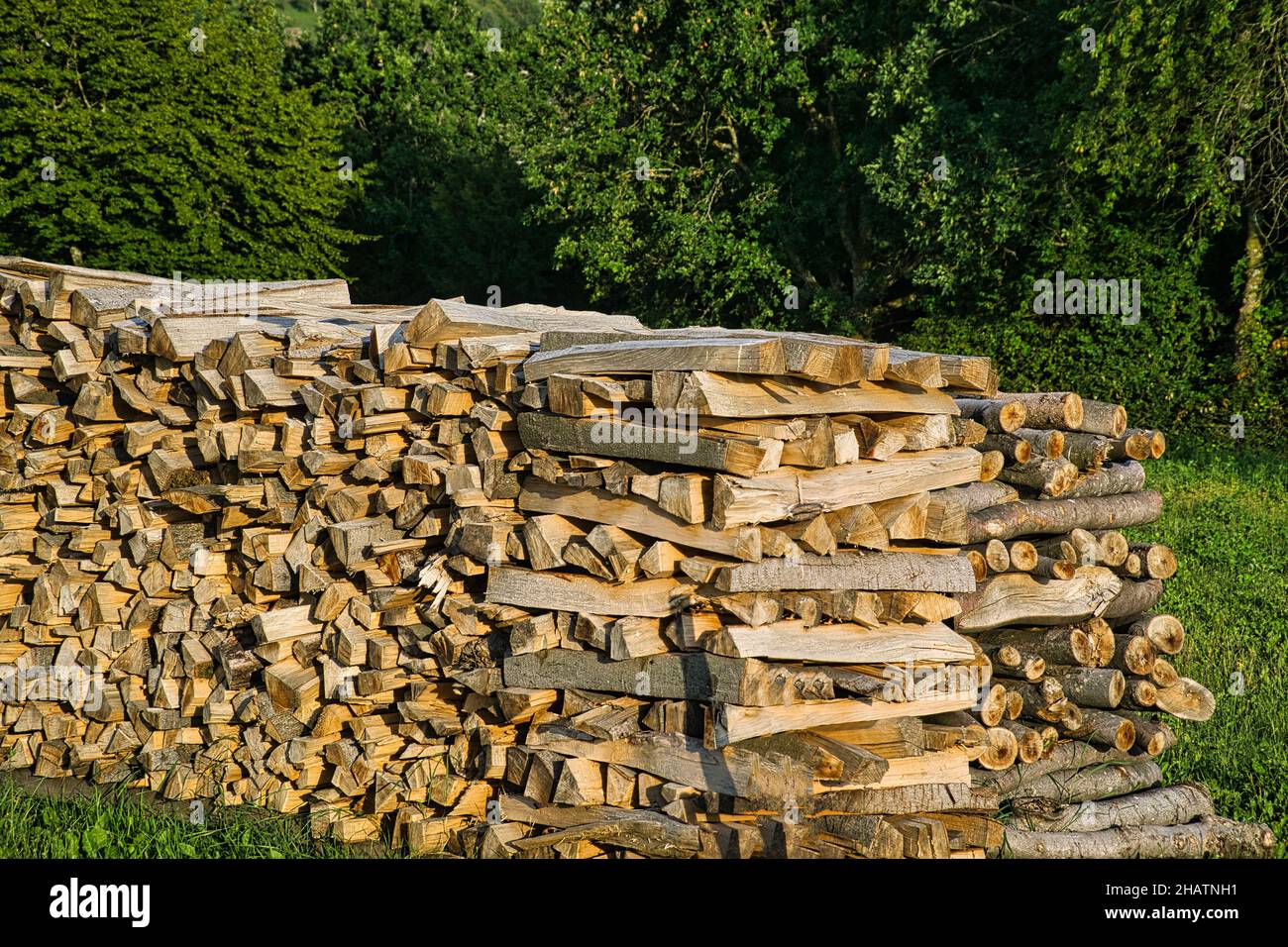 Virutas de madera Asturias como fuente de energía y otros usos