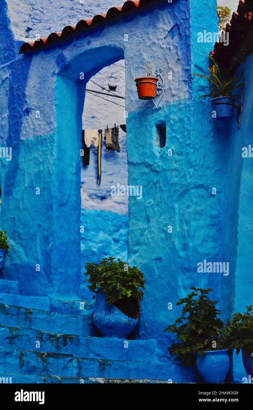 Maceta turquesa fotografías e imágenes de alta resolución - Alamy