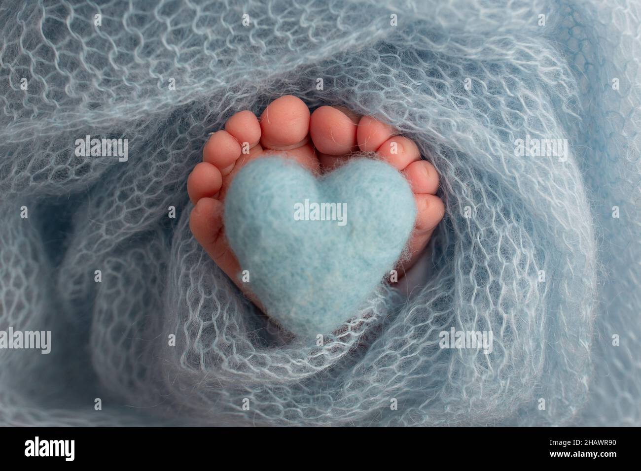 El pie diminuto de un bebé recién nacido. Pies suaves de un nuevo nacido en una manta azul. Foto de stock