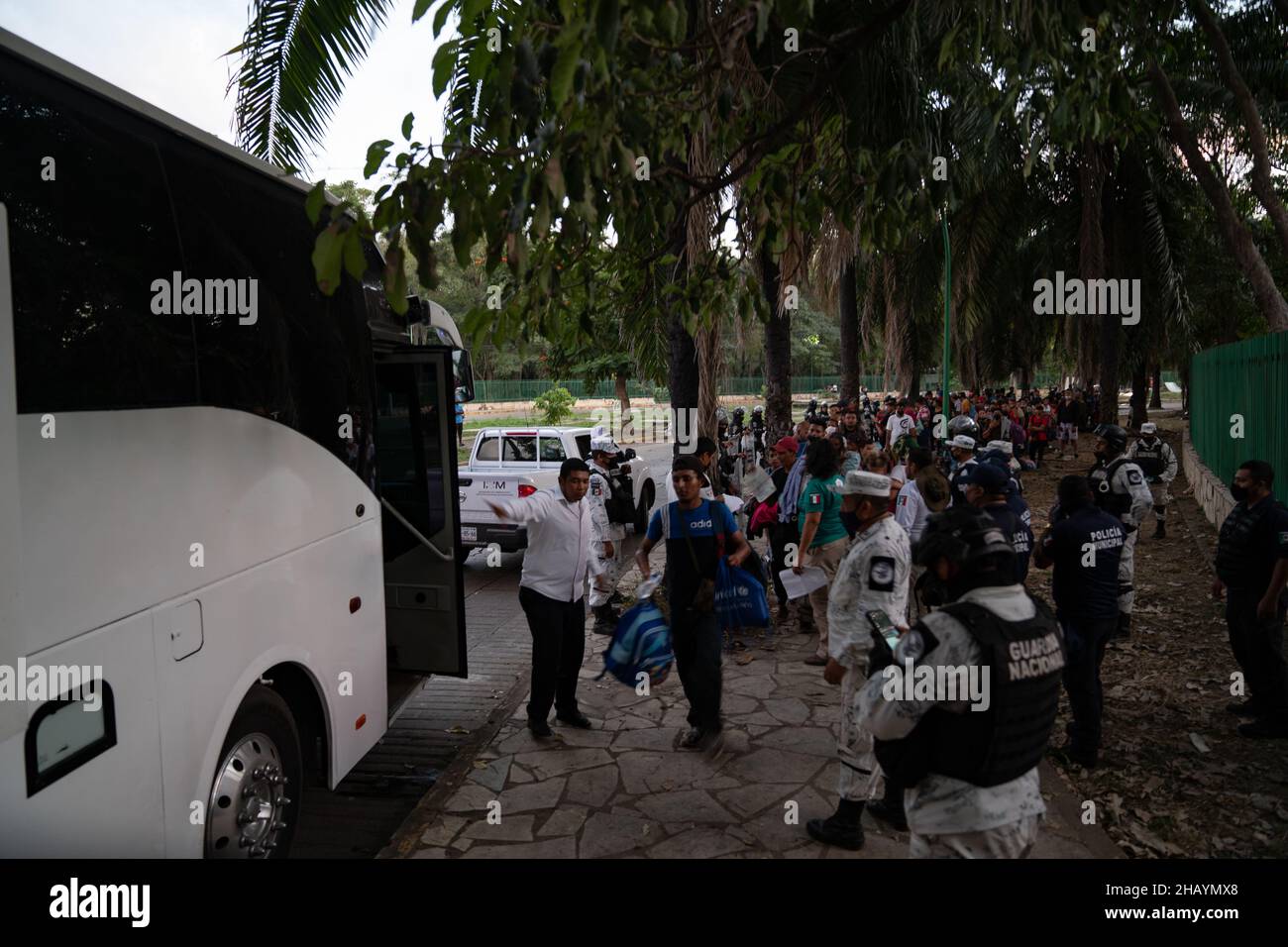 Tapachula, México. 15th de diciembre de