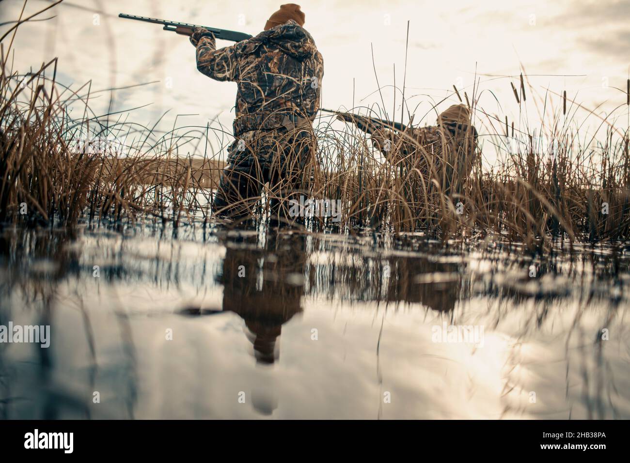 Dos personas cazando patos en Dakota del Norte Foto de stock