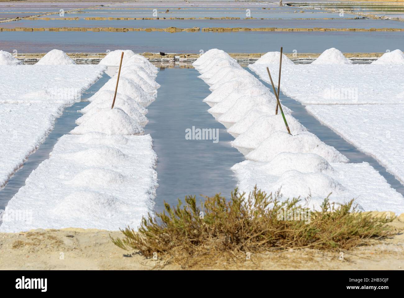 Primer plano de la sartén de sal cerca de Trapani en Sicilia, Italia Foto de stock