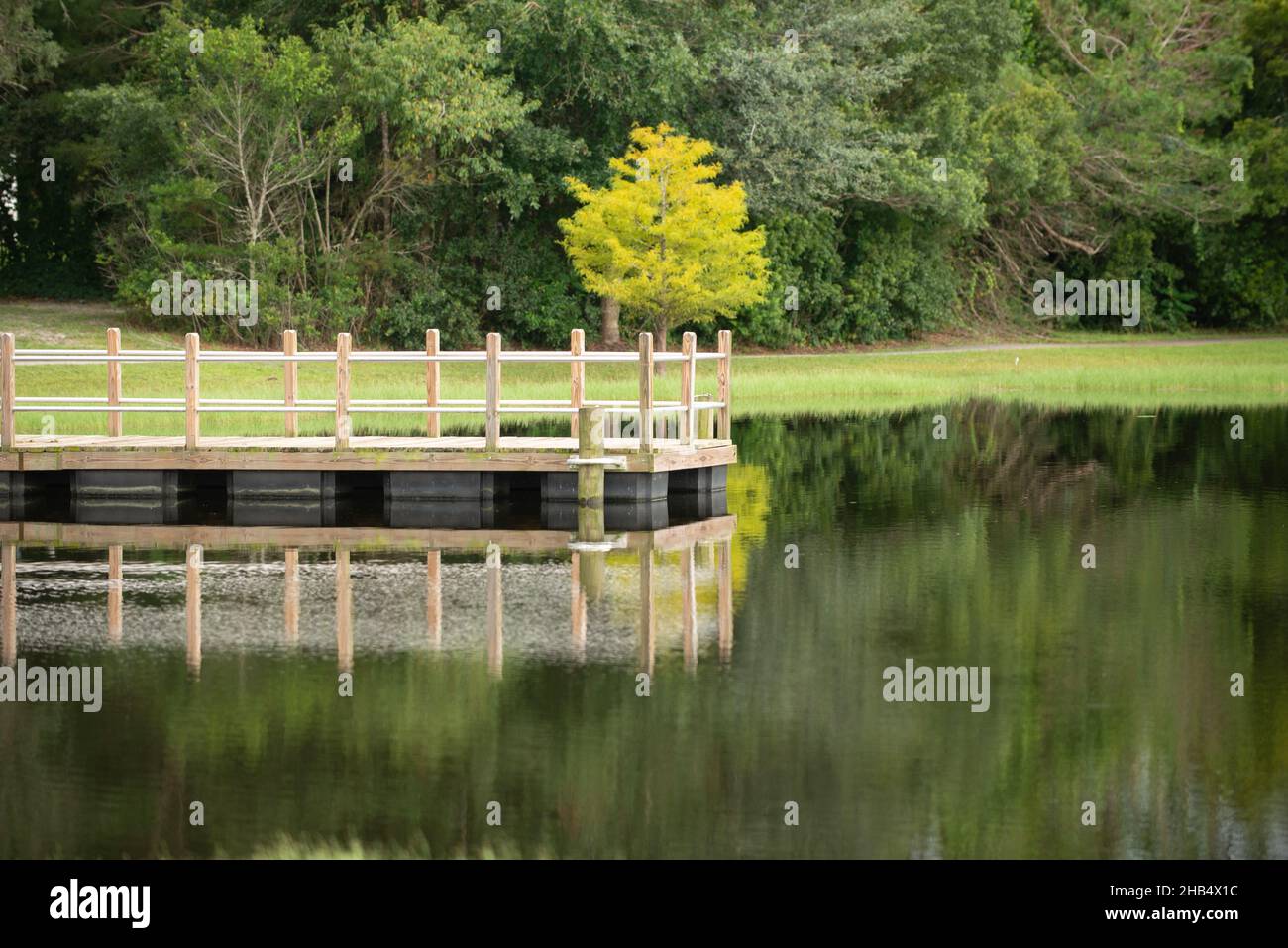 Muelle de madera en medio de un estanque en el parque con reflexión Foto de stock