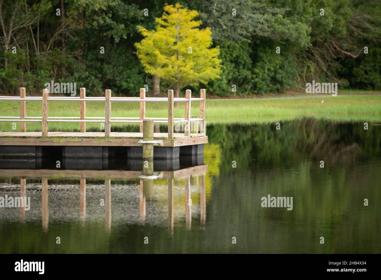 Muelle de madera en medio de un estanque en el parque con reflexión Foto de stock