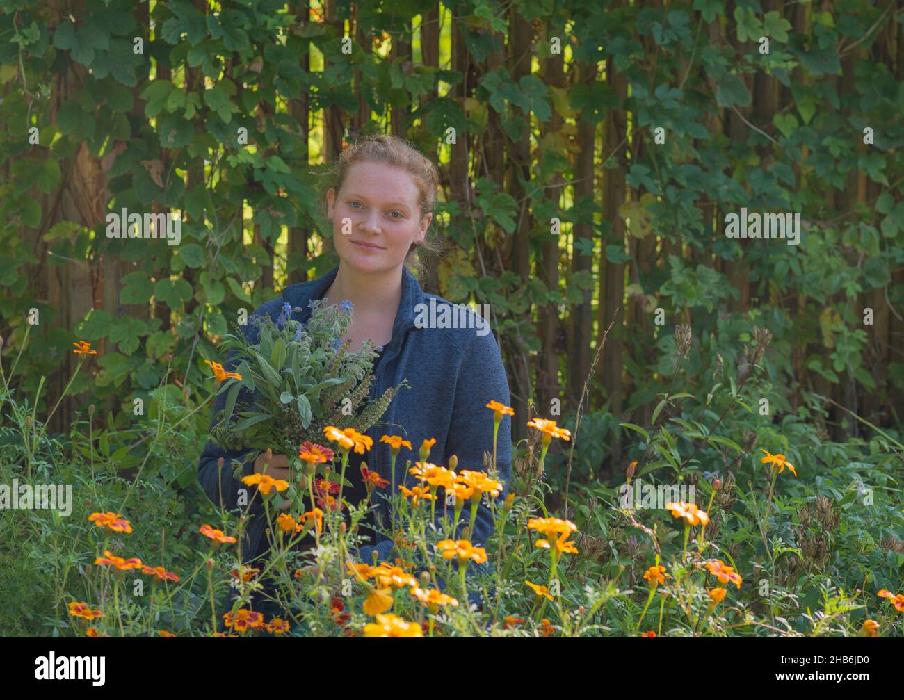 Mujer joven con ramo de hierbas self-escogido en el jardín , Alemania, Hamburgo, Flottbek Foto de stock