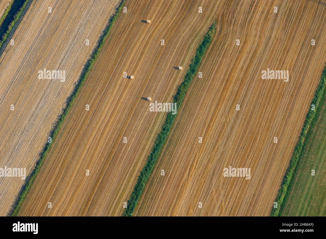 Campo de grano con fardos de paja redonda, vista aérea, Alemania, Schleswig-Holstein Foto de stock