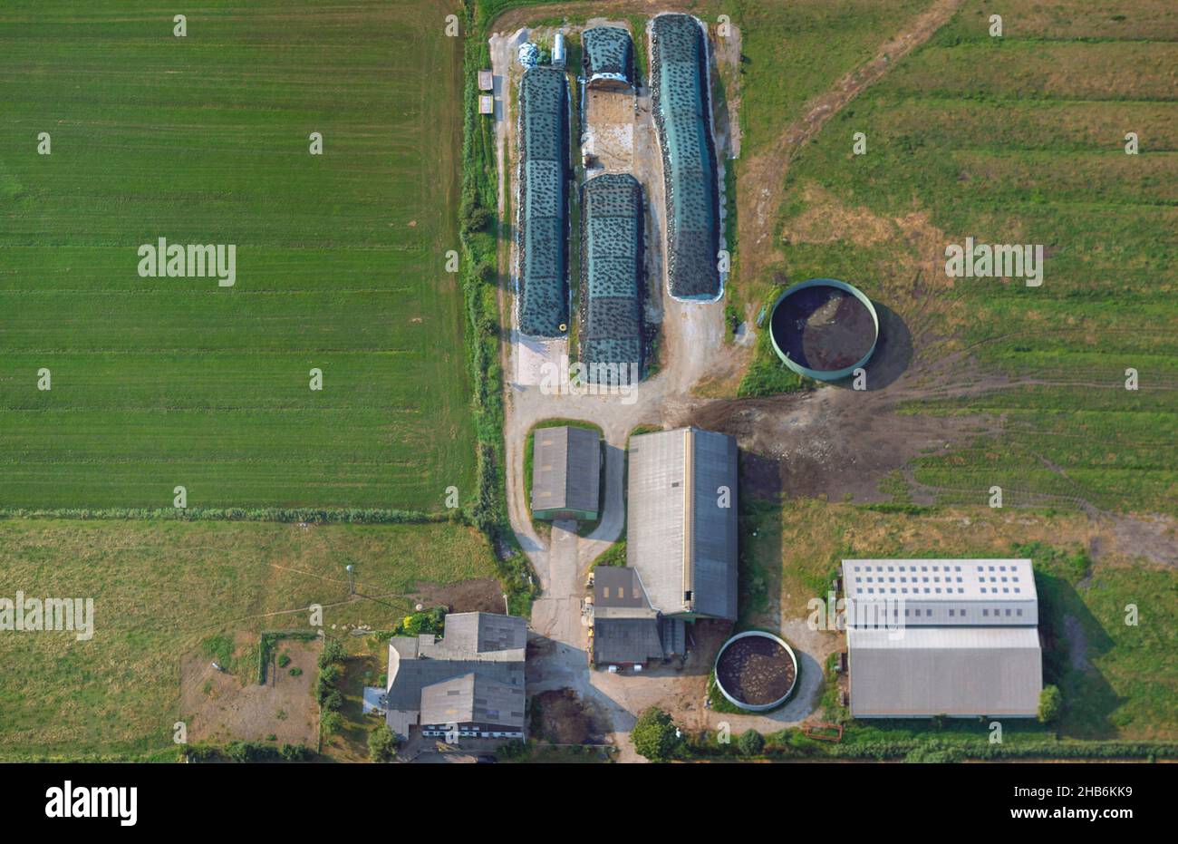 Granja ganadera agrícola en Elbmarsch con establos, siestas y tanques de lodo, vista aérea, Alemania, Schleswig-Holstein, Wilster Marsch, Foto de stock