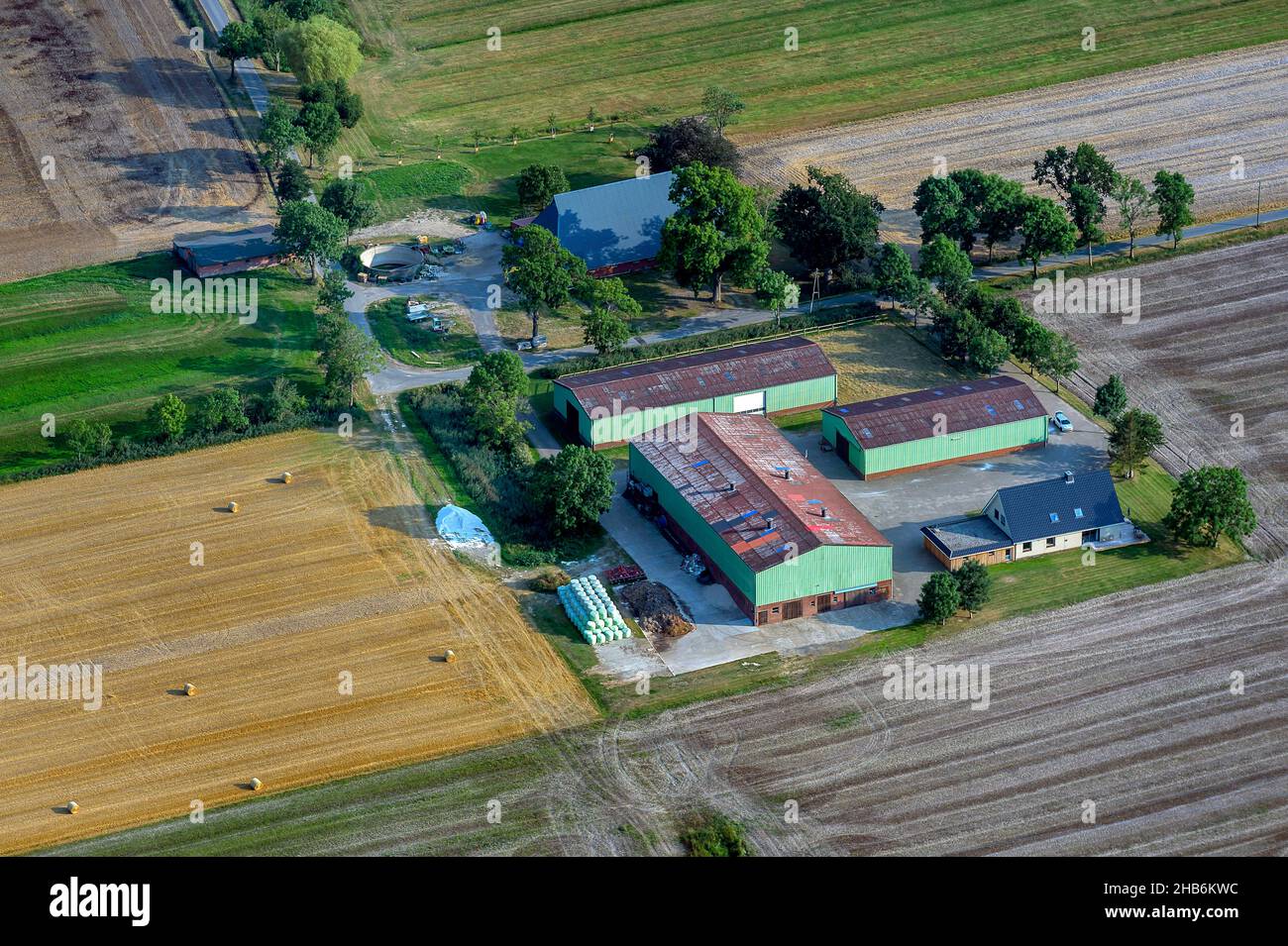 Granja con establos en paisaje de campo, vista aérea , Alemania, Schleswig-Holstein Foto de stock