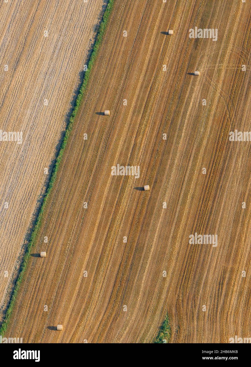 Campo de grano con fardos de paja redonda, vista aérea, Alemania, Schleswig-Holstein Foto de stock