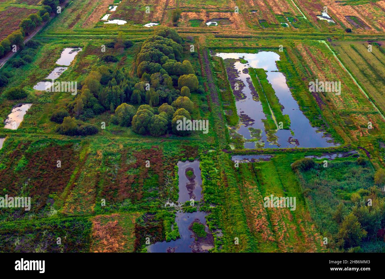 El agua está en el antiguo páramo, foto aérea, Alemania, Schleswig-Holstein, Dithmarschen Foto de stock