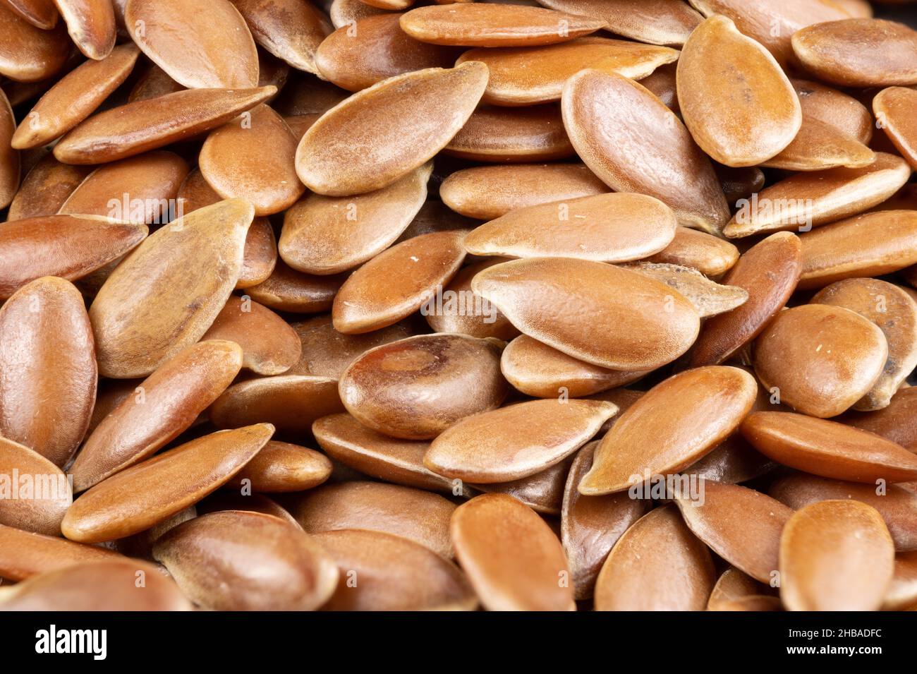 Macro de especias y semillas comestibles verdaderas: Detalles de flex / linaza (Linum usitatissimum) Completa imagen nítida a través del apilamiento de fotos Foto de stock