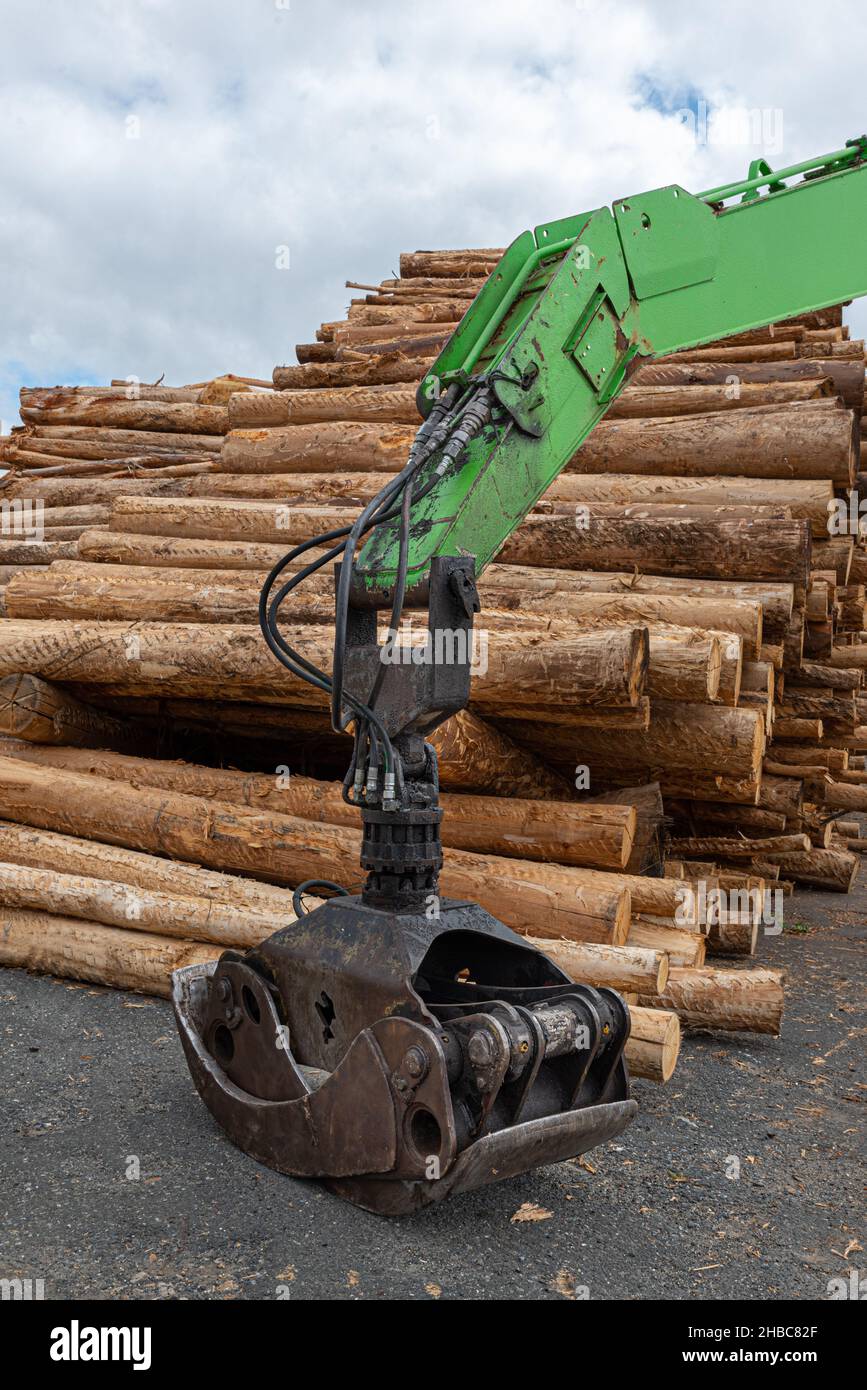 Tiro vertical de máquina para transportar troncos y pilas de árboles