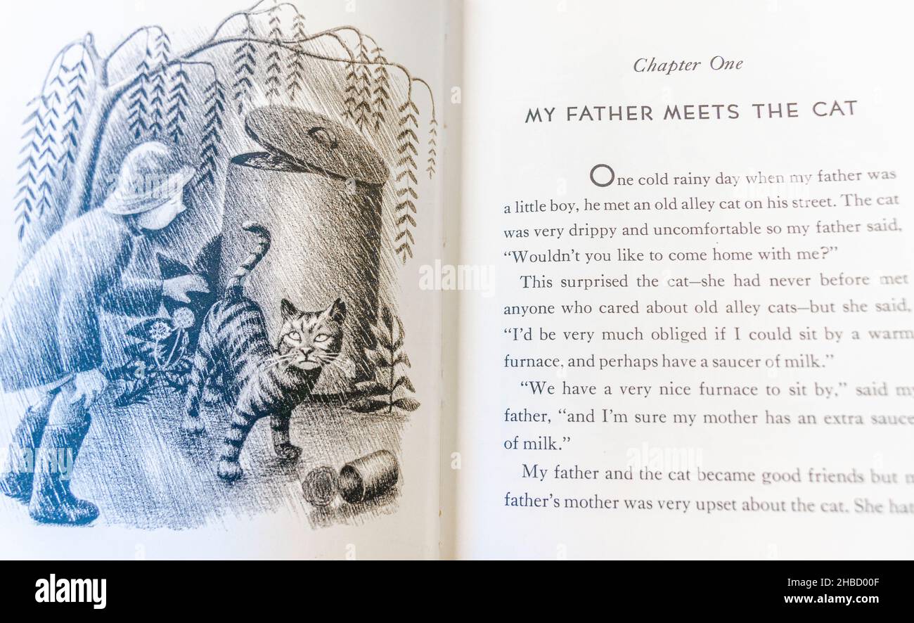 Primeras líneas-El Dragón de Mi Padre, novela de 1948 niños de Ruth Gannet, con ilustraciones de su madrastra Ruth Gannet. Se adaptará en 2022. Foto de stock