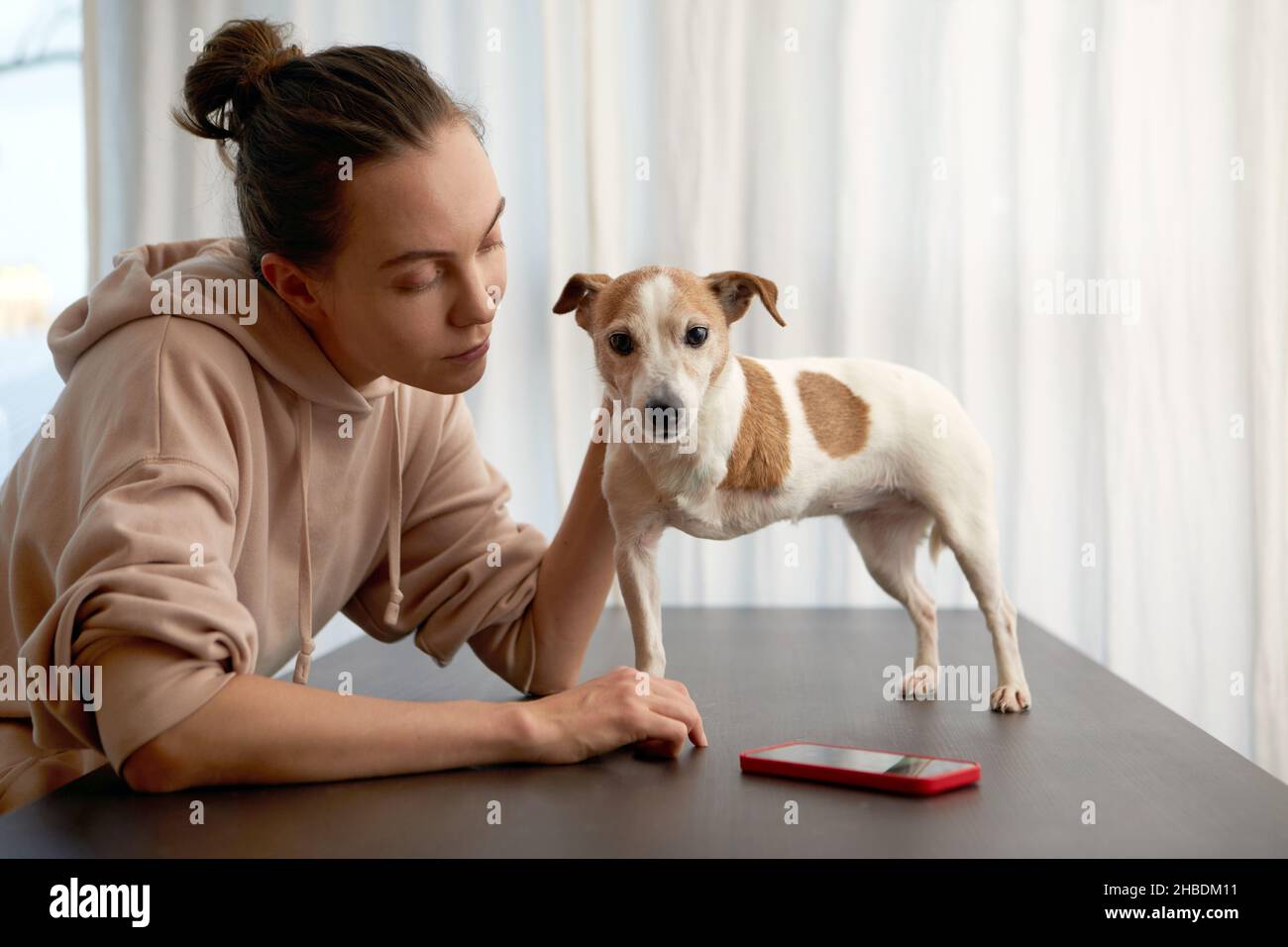 Mujer acariciando a tres patas gato perro russell terrier llamando en su smartphone en casa Foto de stock