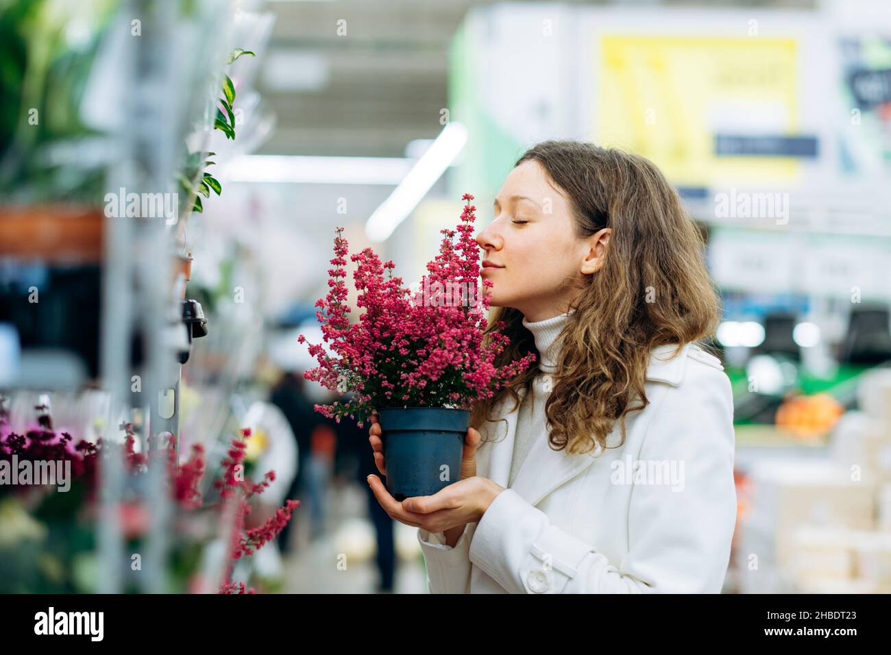 Mujer con pelo rizado morena en cálido suéter y capa blanca huele flores moradas floreciendo en olla con ojos cerrados de pie en la gran tienda Foto de stock