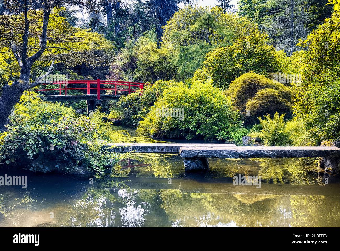 Vista de una primavera con un puente peatonal japonés curvo rojo, jardines Kubota, sur de Seattle, estado de Washington Foto de stock