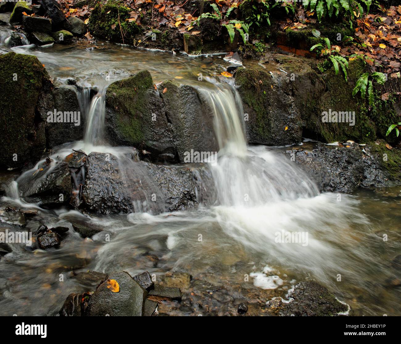 Una cascada gemela en un pequeño arroyo rodeado de hojas caídas en otoño Foto de stock