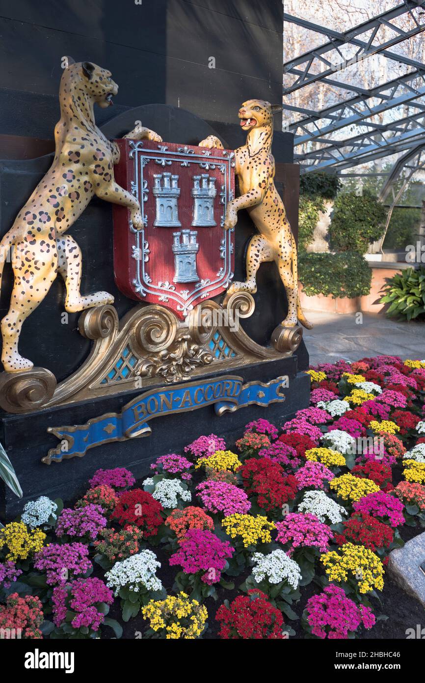 dh Duthie Park ABERDEEN SCOTLAND Bon Accord escudo de leopardo escudo de flores en Winter Gardens Foto de stock