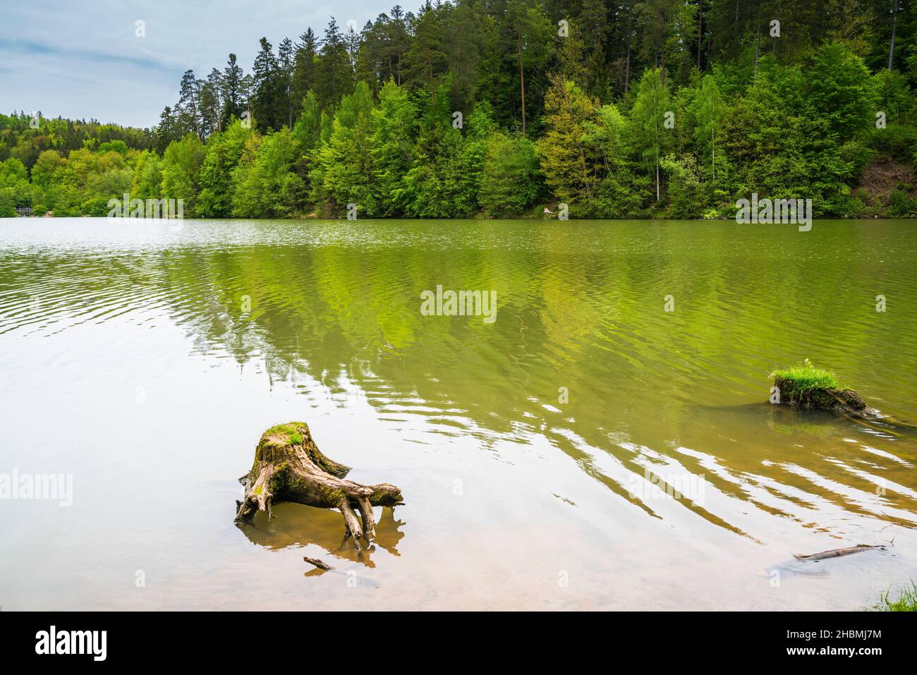 Alemania, aguas silenciosas del lago de Herrenbachstausee que reflejan el bosque verde y el paisaje natural cerca de adelberg y goeppingen Foto de stock