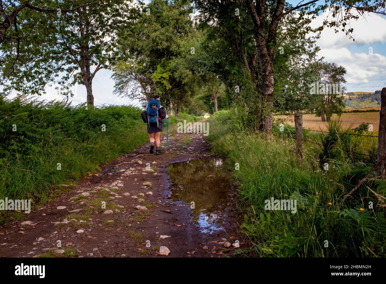 Espalion, Francia - 16 de julio de 2021: Un excursionista caminando por el camino de Santiago en Francia durante un día de verano parcialmente soleado en un sendero bordeado de árboles. Foto de stock