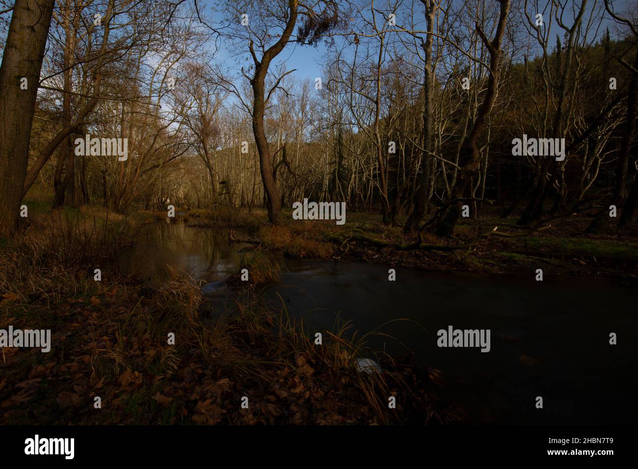 Un paisaje de un bosque y arroyo, rivulet en la temporada de invierno Foto de stock