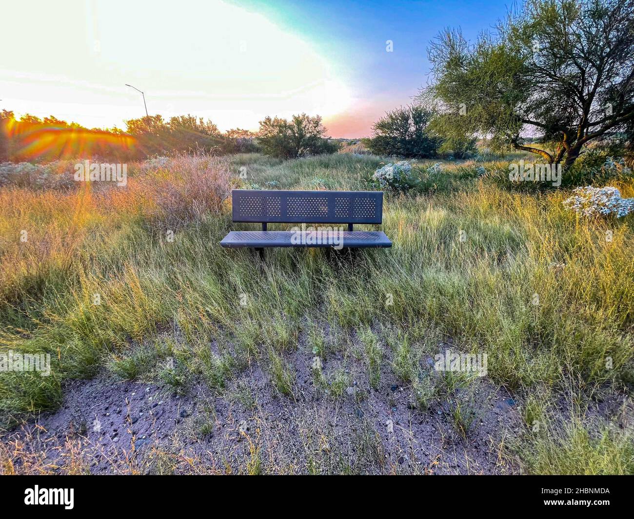 Parque Metropolitano de Hermosillo, humedal y parque recreativo con