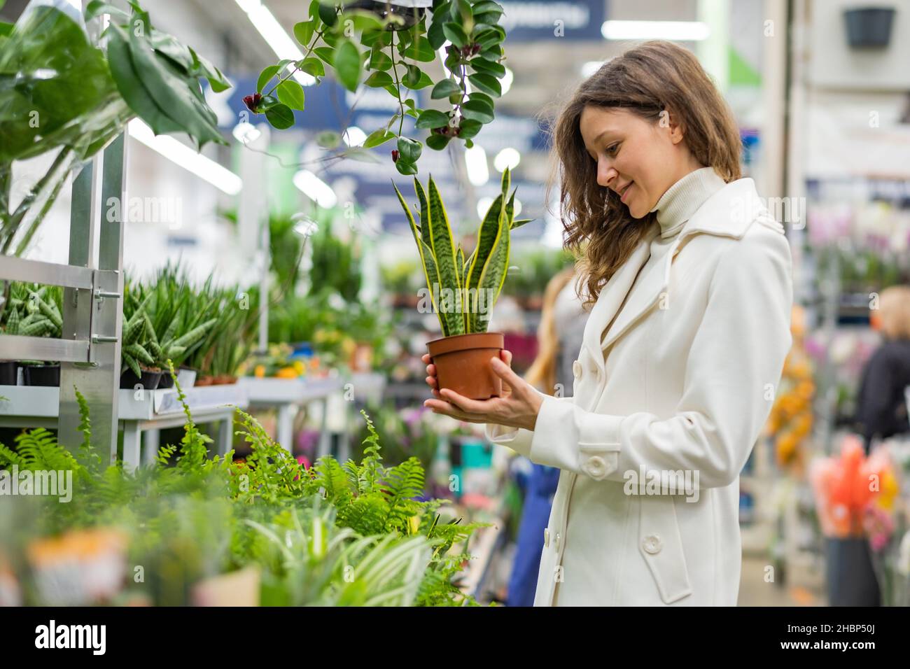 Una joven europea en un abrigo blanco elige las plantas domésticas en macetas en una florería Foto de stock