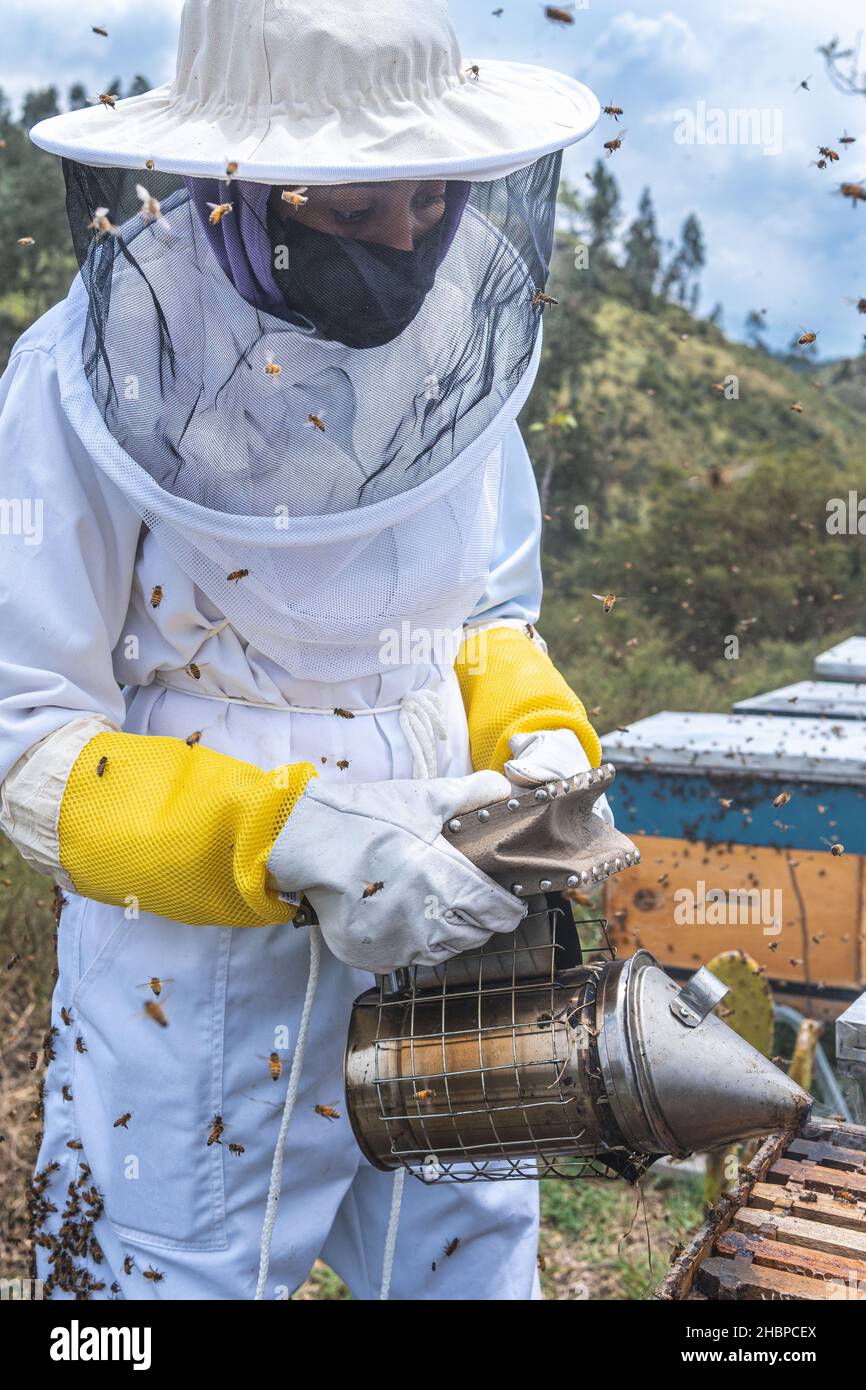 La Vestimenta y las Herramientas del Apicultor – Alimentos Para