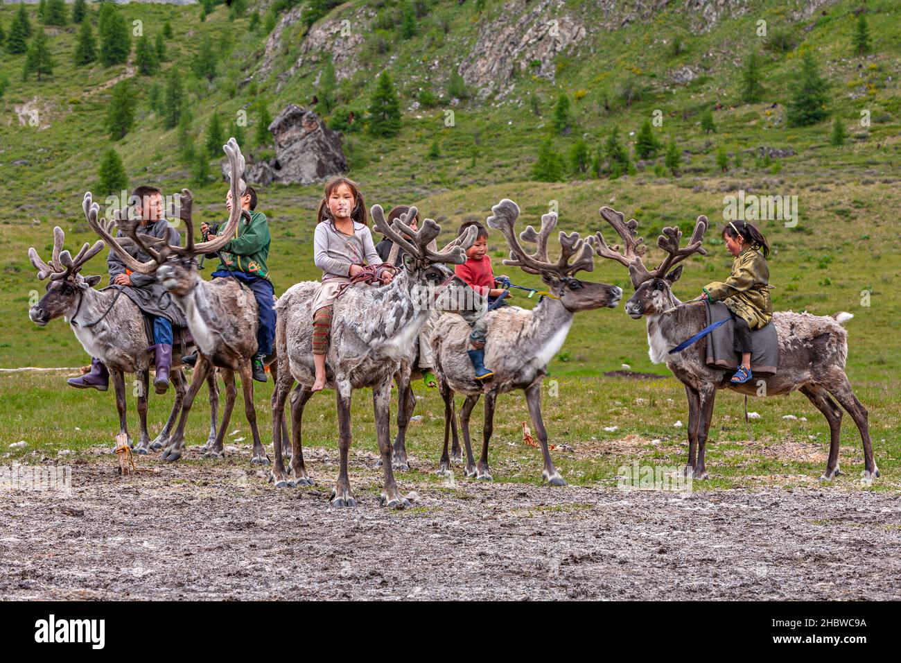 Comunidad turca de pastores de renos semomádicos que viven en la provincia más septentrional de Mongolia Foto de stock
