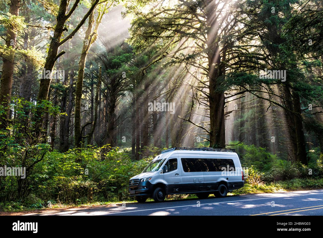 Airstream Interstate 24X 4WD Campervan; espectaculares filtros de luz matutina a través de la niebla y los árboles grandes; Cape Perpetua Scenic Area; cerca de Yachats; Oregon Foto de stock