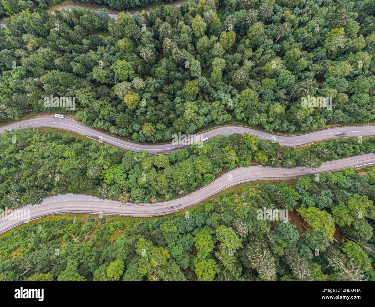Vista aérea en dos carreteras que cruzan el bosque de coníferas de voges Foto de stock