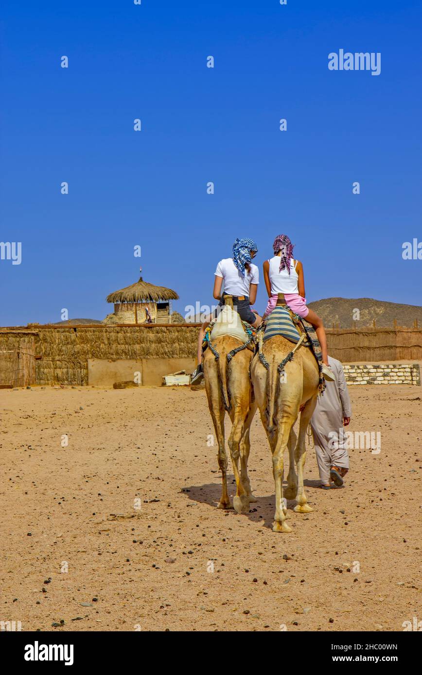 Niñas montando camello en el desierto egipcio Foto de stock