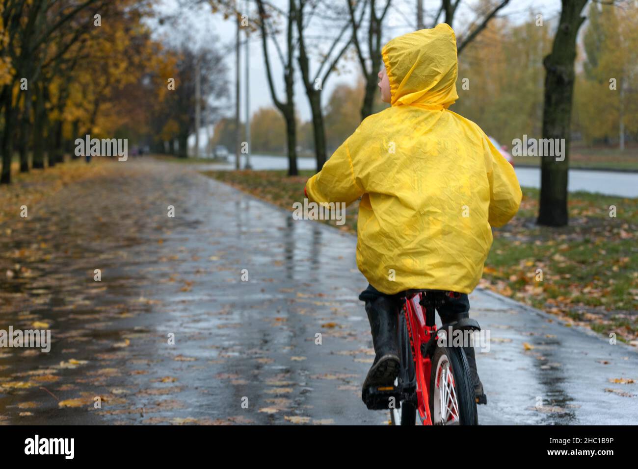 Un hombre con chubasquero amarillo está conduciendo por un callejón en un  parque otoñal. Niño paseos en bicicleta alrededor de la ciudad bajo la  lluvia. Vista posterior Fotografía de stock - Alamy