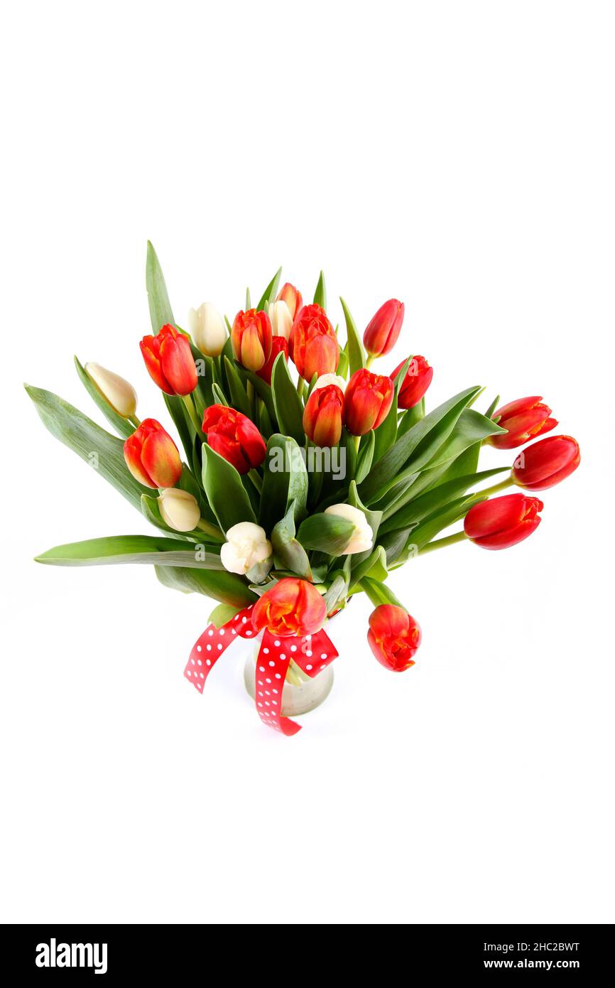 Details 48 ramo de tulipanes rojos y blancos